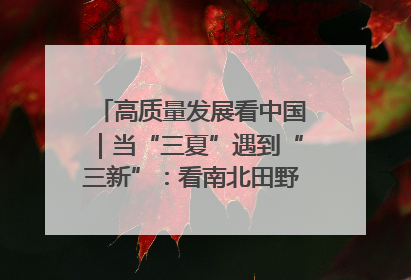 高质量发展看中国｜当“三夏”遇到“三新”：看南北田野里的科技共生记