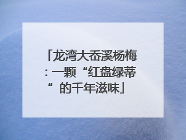 龙湾大岙溪杨梅：一颗“红盘绿蒂”的千年滋味