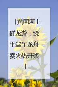 黄冈河上群龙游，饶平端午龙舟赛火热开桨