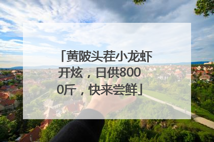 黄陂头茬小龙虾开炫，日供8000斤，快来尝鲜