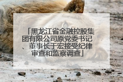 黑龙江省金融控股集团有限公司原党委书记、董事长于宏接受纪律审查和监察调查