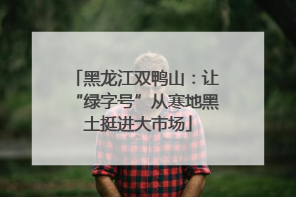 黑龙江双鸭山：让“绿字号”从寒地黑土挺进大市场