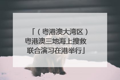 （粤港澳大湾区）粤港澳三地海上搜救联合演习在港举行