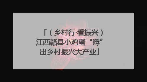 （乡村行·看振兴）江西赣县小鸡蛋“孵”出乡村振兴大产业