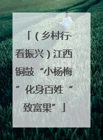 （乡村行·看振兴）江西铜鼓“小杨梅”化身百姓“致富果”