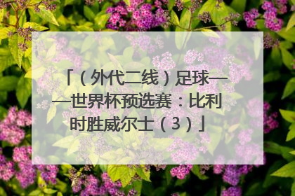 （外代二线）足球——世界杯预选赛：比利时胜威尔士（3）