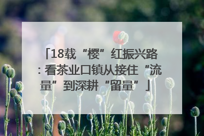 18载“樱”红振兴路：看茶业口镇从接住“流量”到深耕“留量”