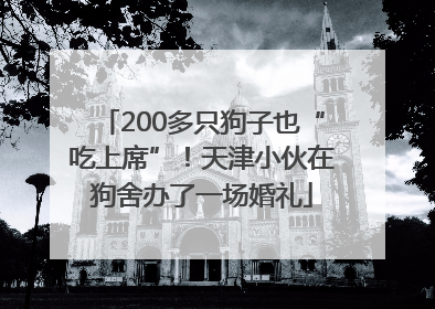 200多只狗子也“吃上席”！天津小伙在狗舍办了一场婚礼