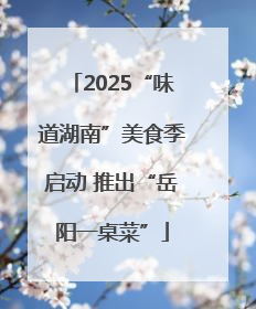 2025“味道湖南”美食季启动 推出“岳阳一桌菜”