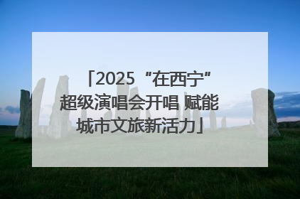 2025“在西宁”超级演唱会开唱 赋能城市文旅新活力