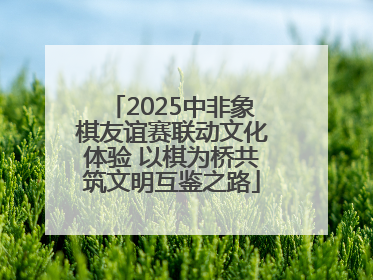 2025中非象棋友谊赛联动文化体验 以棋为桥共筑文明互鉴之路