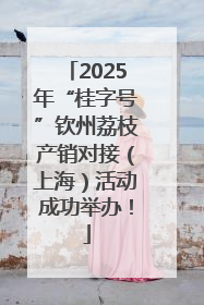 2025年“桂字号”钦州荔枝产销对接（上海）活动成功举办！