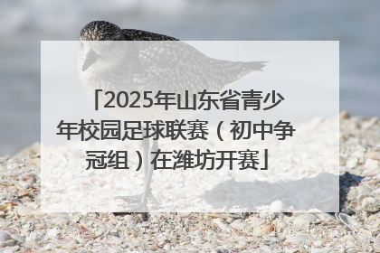 2025年山东省青少年校园足球联赛（初中争冠组）在潍坊开赛