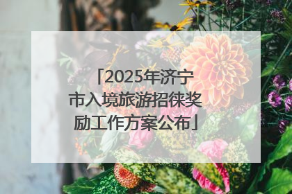 2025年济宁市入境旅游招徕奖励工作方案公布