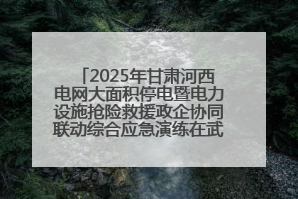 2025年甘肃河西电网大面积停电暨电力设施抢险救援政企协同联动综合应急演练在武威成功举行