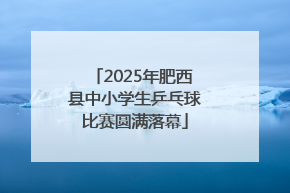 2025年肥西县中小学生乒乓球比赛圆满落幕