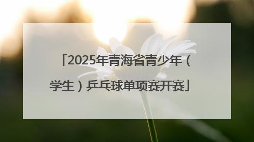 2025年青海省青少年（学生）乒乓球单项赛开赛