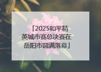 2025和平精英城市赛总决赛在岳阳市圆满落幕