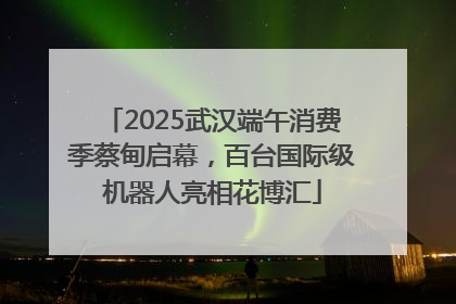 2025武汉端午消费季蔡甸启幕，百台国际级机器人亮相花博汇