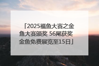 2025福鱼大赛之金鱼大赛颁奖 56尾获奖金鱼免费展览至15日