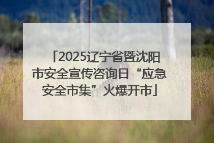 2025辽宁省暨沈阳市安全宣传咨询日“应急安全市集”火爆开市