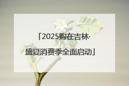 2025购在吉林·盛夏消费季全面启动