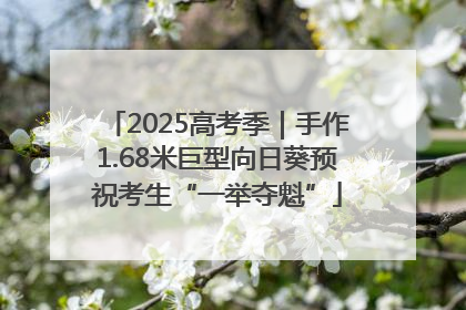 2025高考季｜手作1.68米巨型向日葵预祝考生“一举夺魁”