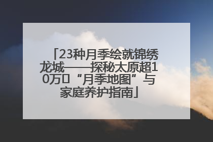 23种月季绘就锦绣龙城——探秘太原超10万㎡“月季地图”与家庭养护指南