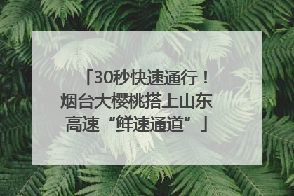 30秒快速通行！烟台大樱桃搭上山东高速“鲜速通道”