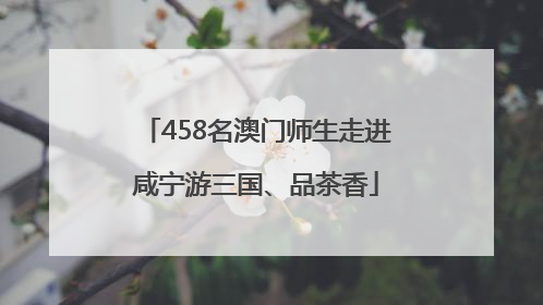 458名澳门师生走进咸宁游三国、品茶香