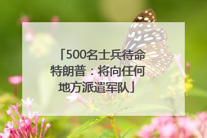 500名士兵待命 特朗普：将向任何地方派遣军队