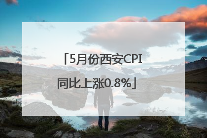 5月份西安CPI同比上涨0.8%
