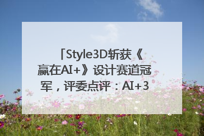 Style3D斩获《赢在AI+》设计赛道冠军，评委点评：AI+3D技术世界第一
