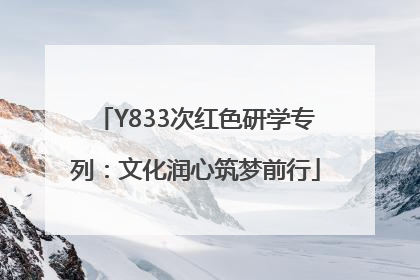 Y833次红色研学专列：文化润心筑梦前行